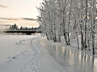 Пазл #27128