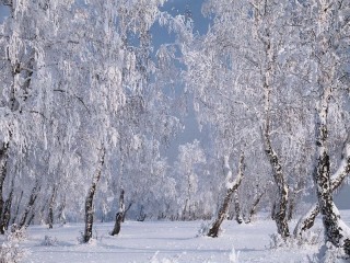 Пазл #53392