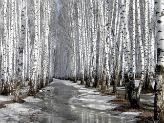 Пазл #9675