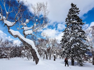 Пазл #36821