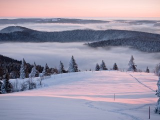 Пазл #37689