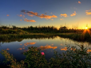 Пазл #13932