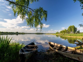 Пазл #2485