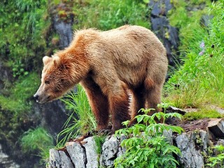 Пазл #5704