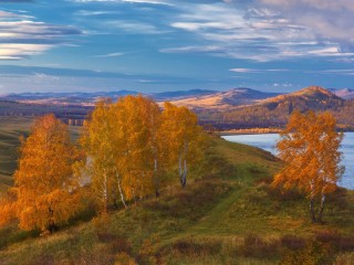 Пазл #9142