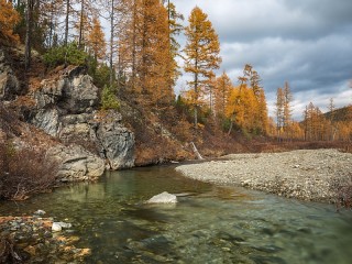 Пазл #58278