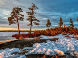 Пазл #1972