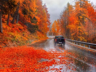 Пазл #59594