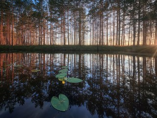 Пазл #380