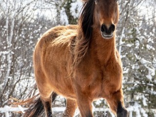 Пазл #16844