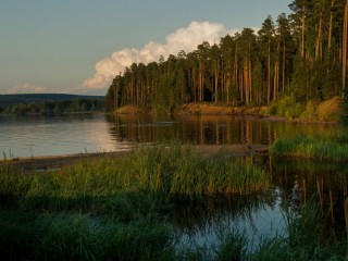 Пазл #4172