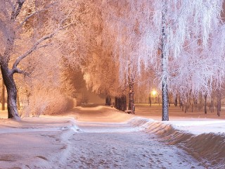 Пазл #9135