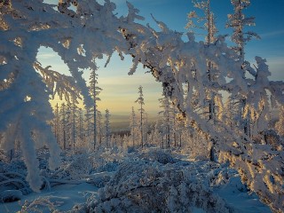 Пазл #5746