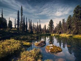 Пазл #62984