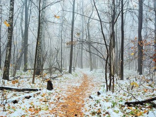 Пазл #7728