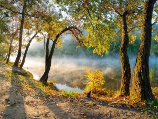 Пазл #26939