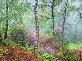 Пазл #3499