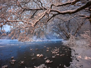 Пазл #16675