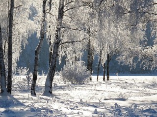 Пазл #19504