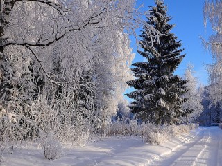 Пазл #50953