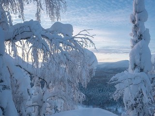 Пазл #60622