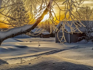 Пазл #9044