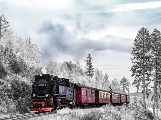 Пазл #60388