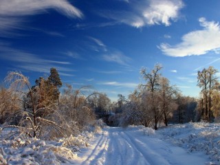 Пазл #13474